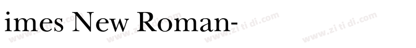 imes New Roman字体转换